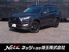 RAV4 アドベンチャオフロード2