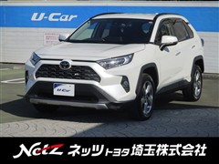 RAV4 G