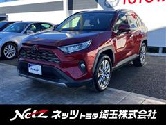 RAV4 G Zパッケージ