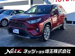 RAV4 G Zパッケージ