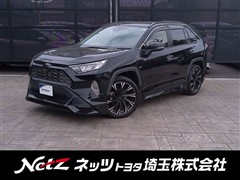 RAV4 G