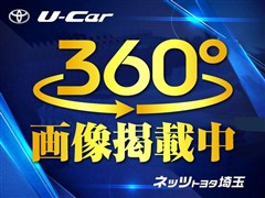 ムーヴキャンバスストライプスGt