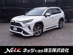 トヨタ RAV4 ハイブリッドG