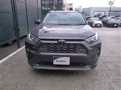 RAV4 G