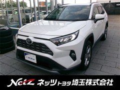 RAV4 G