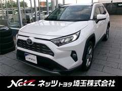 RAV4 G