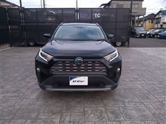 RAV4 ハイブリッドG