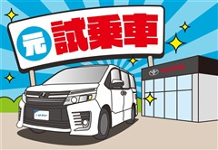 ヴォクシー S-Z