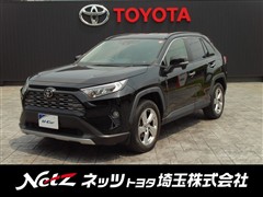 RAV4 G