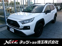 トヨタ RAV4 アドベ オフロード2