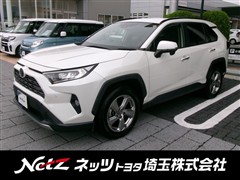 RAV4 G