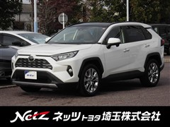 RAV4 G Zパッケージ