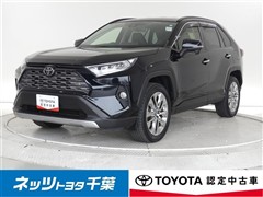 RAV4 G Zパッケージ
