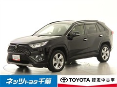 RAV4 G