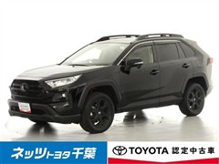 トヨタ RAV4アドベンチャーオフロード2