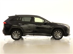 RAV4 G