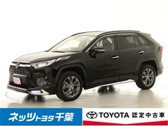 RAV4 G