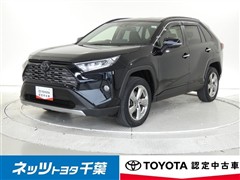 RAV4 G