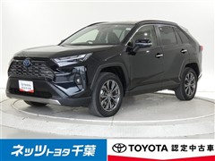 ＲＡＶ４
