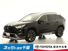 RAV4 アドベンチャー