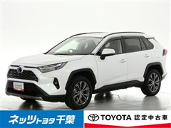RAV4 HEV G