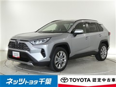 RAV4 G Zパッケージ