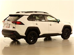 RAV4 アドベンチャー オフロート