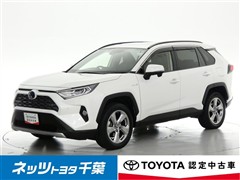 RAV4 HEV G
