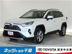 RAV4 HEV G