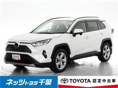 RAV4 G