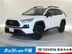 RAV4アドベンチャー オフロート2