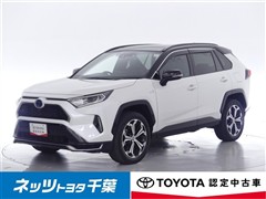 RAV4 PHV ブラックトーン