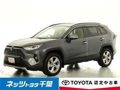 RAV4 HEV G