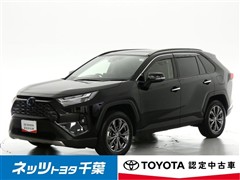 RAV4 HEV G