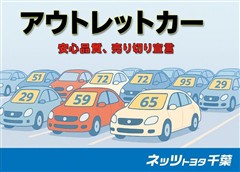 iQ 100G レザーパッケージ