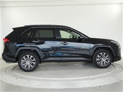 RAV4 HEV G
