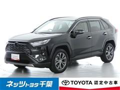 RAV4 HEV G