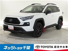 トヨタ RAV4HEVADV オフロード2