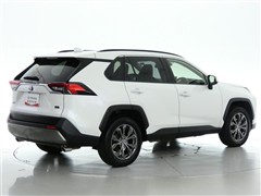 RAV4 HEV G