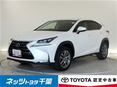 NX300h Iパッケージ