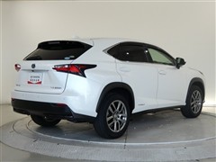 NX300h Iパッケージ