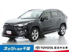 RAV4 HEV G