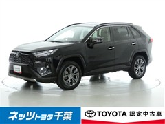 RAV4 HEV G