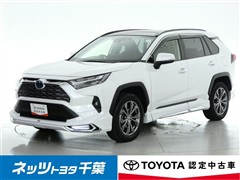 RAV4 HEV G