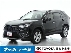 トヨタ RAV4 HEV G