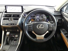 NX300h I-パッケ-ジ