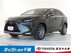 レクサス NX300h I-PKG