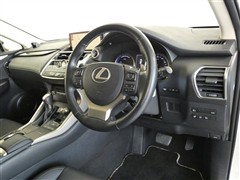 NX300h Black Sequenc