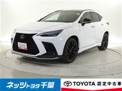 NX350h F SPORT