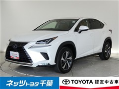 NX300h バージョンL